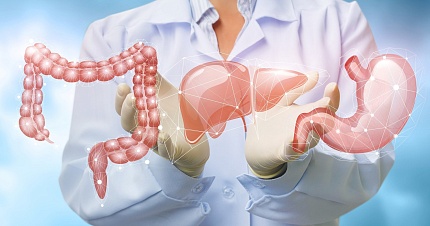 Гастроэнтерологическая программа