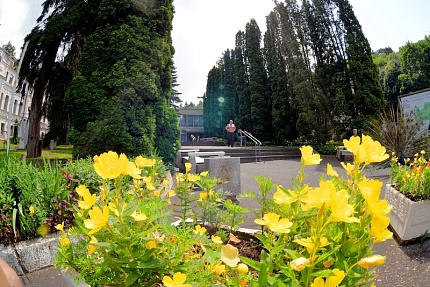 Лечение, в том числе реабилитация